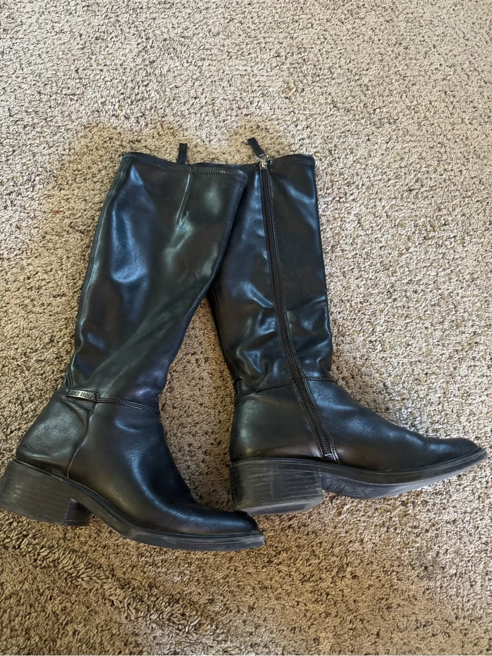Franco Sarto timeless tall